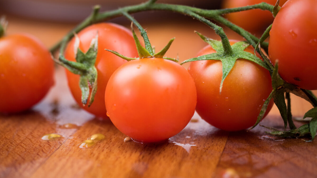 «Пластиком» давиться не придется: вот как выбрать вкусные томаты зимой
