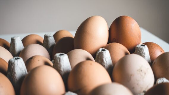 Вот почему яйца и курица так подорожали: дело не в наглости супермаркетов