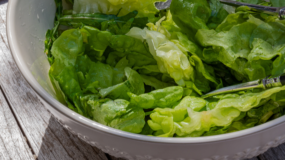 Свежий салат всегда будет под рукой: эти сорта без труда вырастите на подоконнике