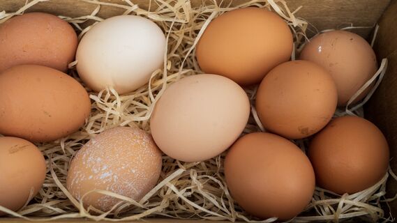 Намного меньше, чем все думают: сколько на самом деле яиц можно съедать в сутки