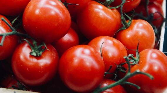 Сразу поймете, что помидоры напичканы «химией»: внимание на эту особенность